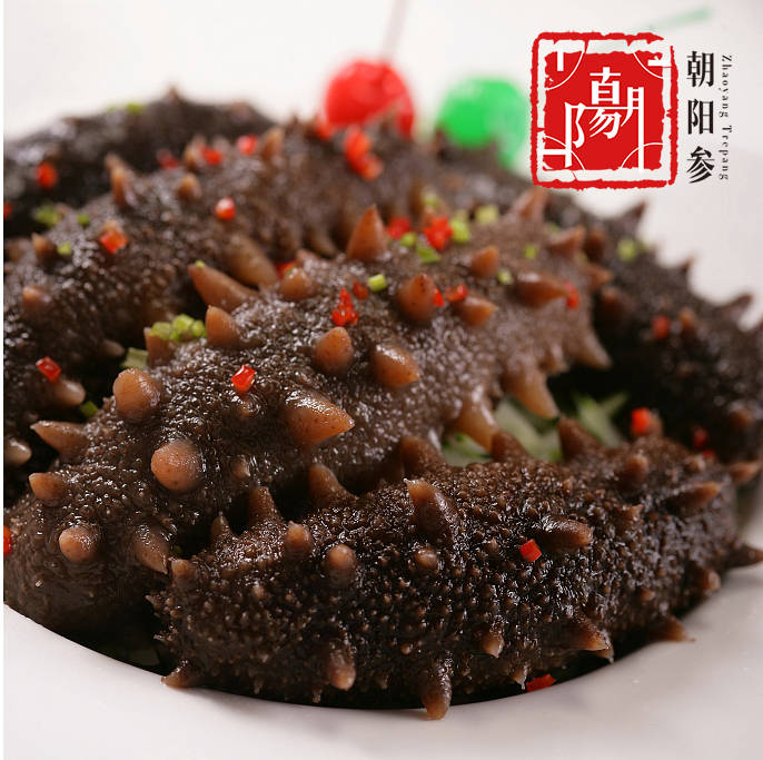 海参排名_活海参图片(3)