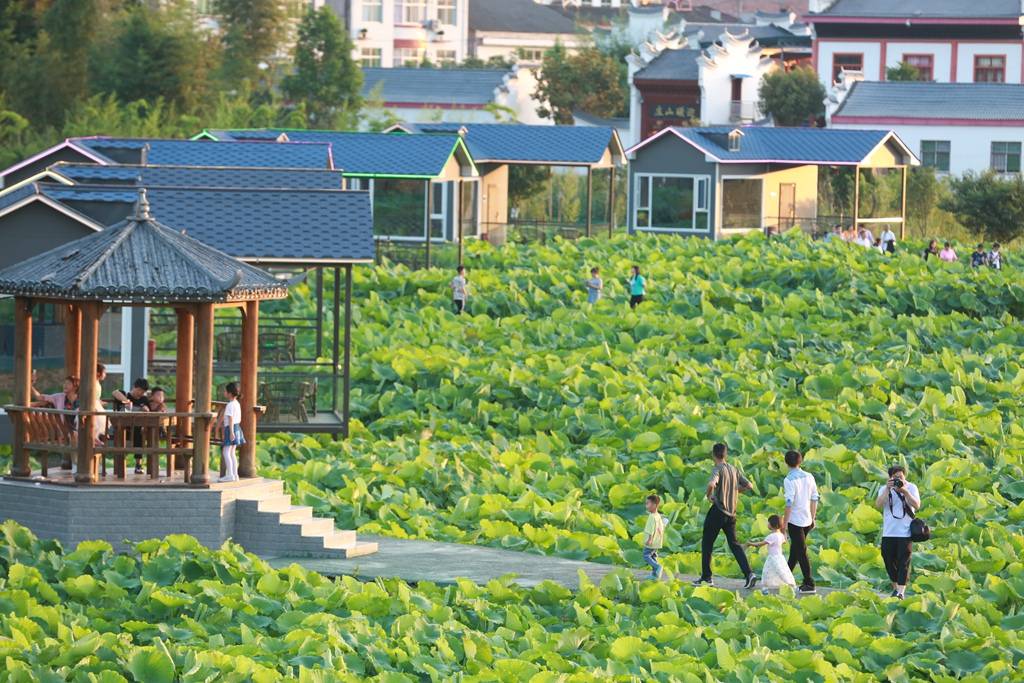 石泉举办鎏金铜蚕61丝路之源文化旅游系列活动助推乡村振兴