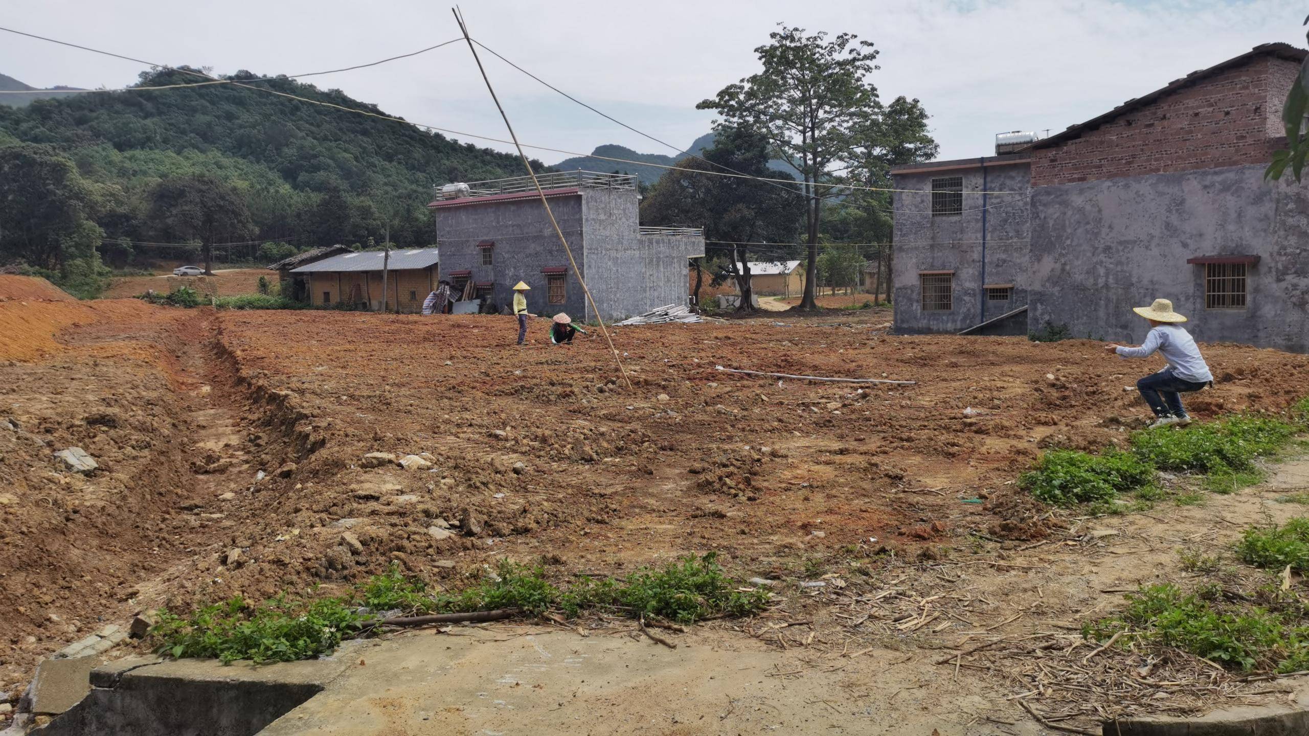 建设美丽乡村拆旧复垦篇279