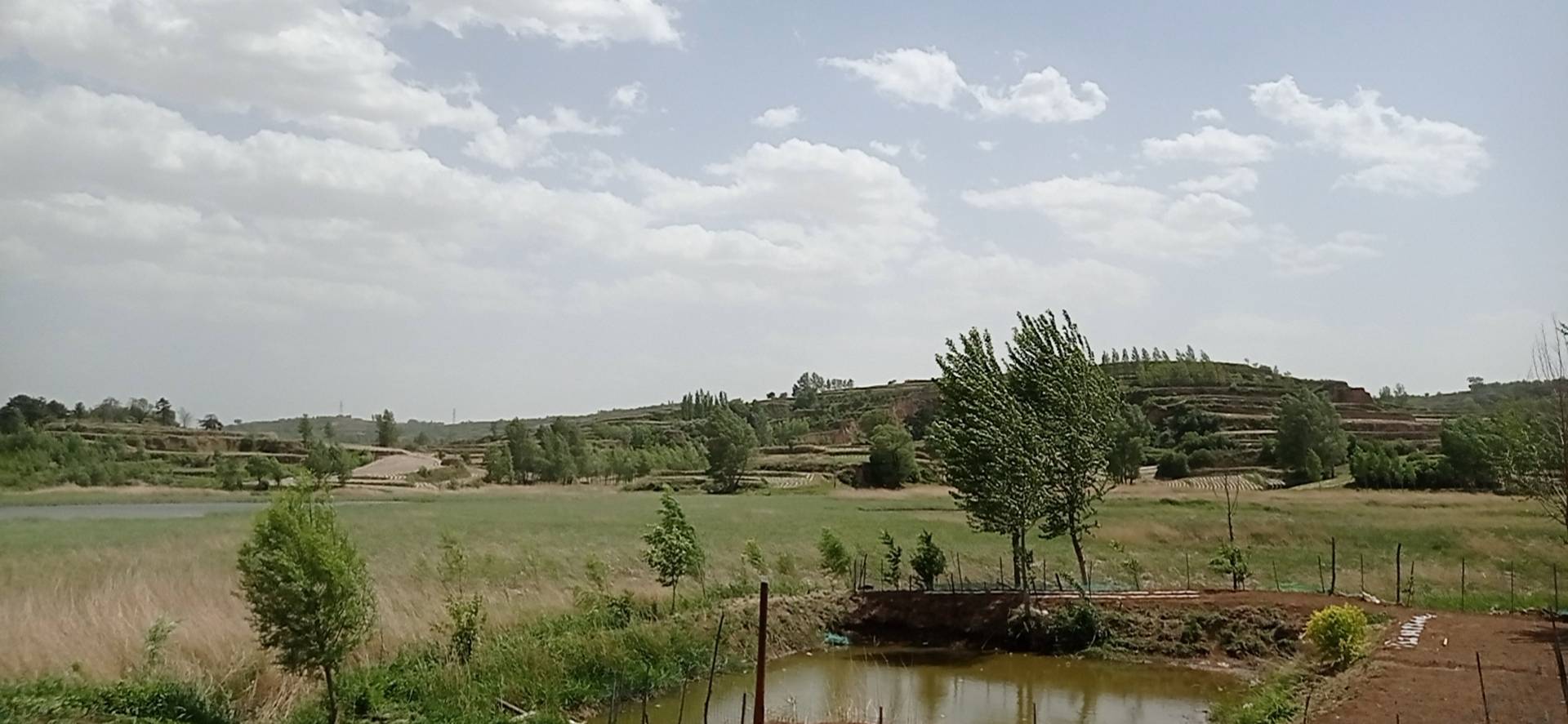 龙栖谷(蔡庄水库)随拍