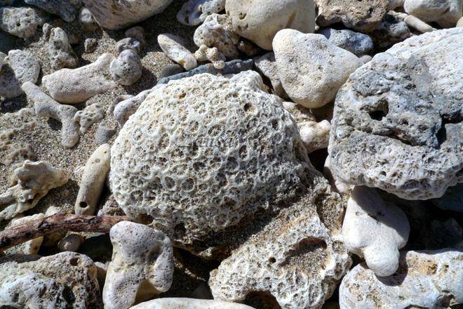 台州桃渚珊瑚岩群美景