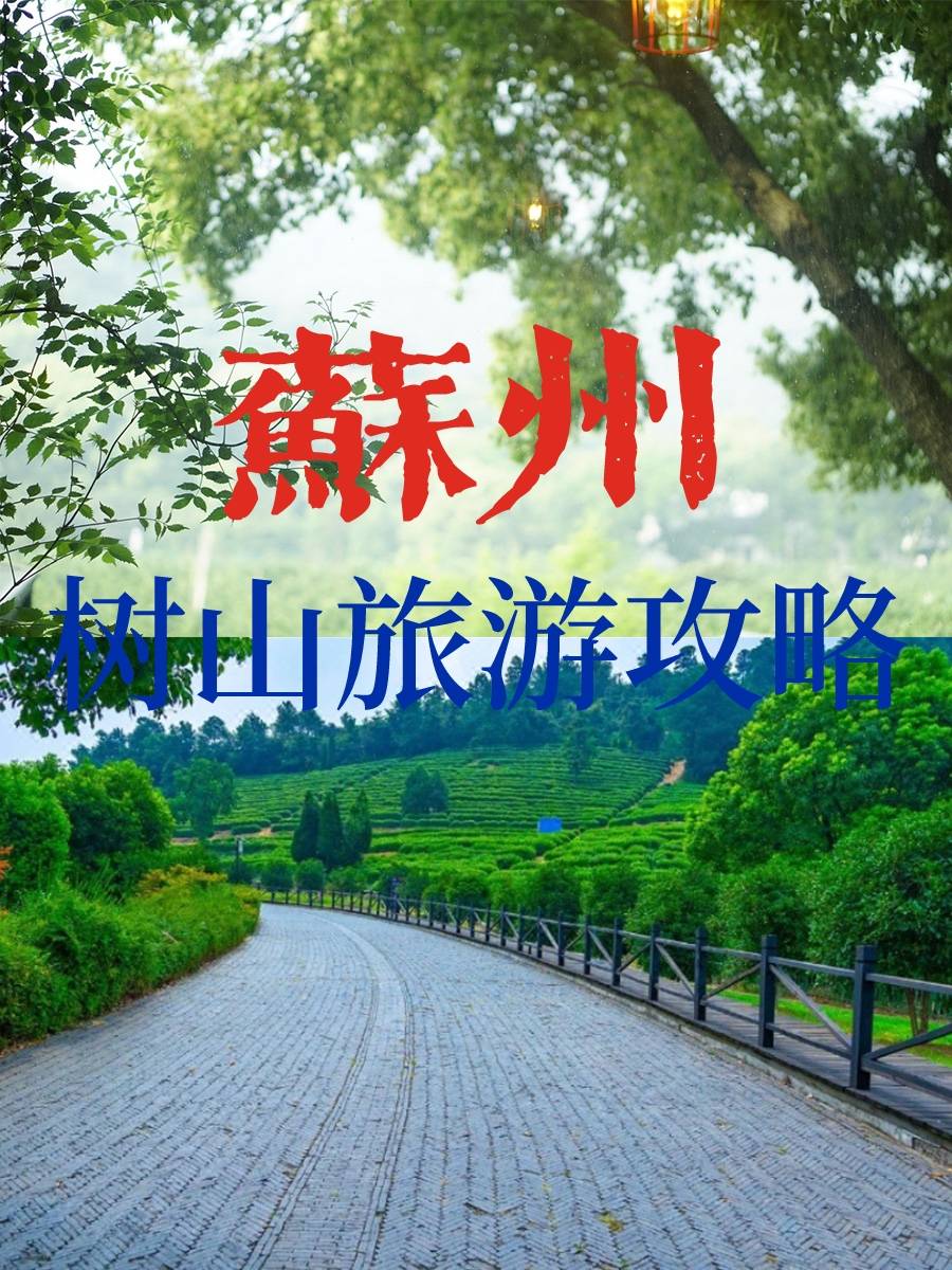 苏州树山景区预约图片