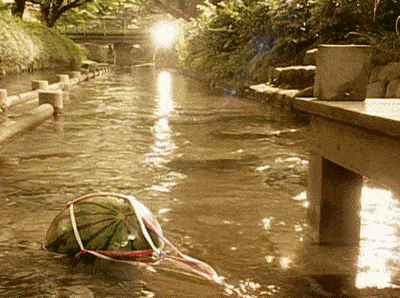 400_298gif 动态图 动图