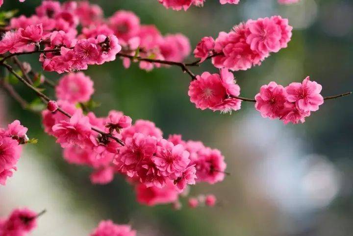 历史|广州桃花涧风景区