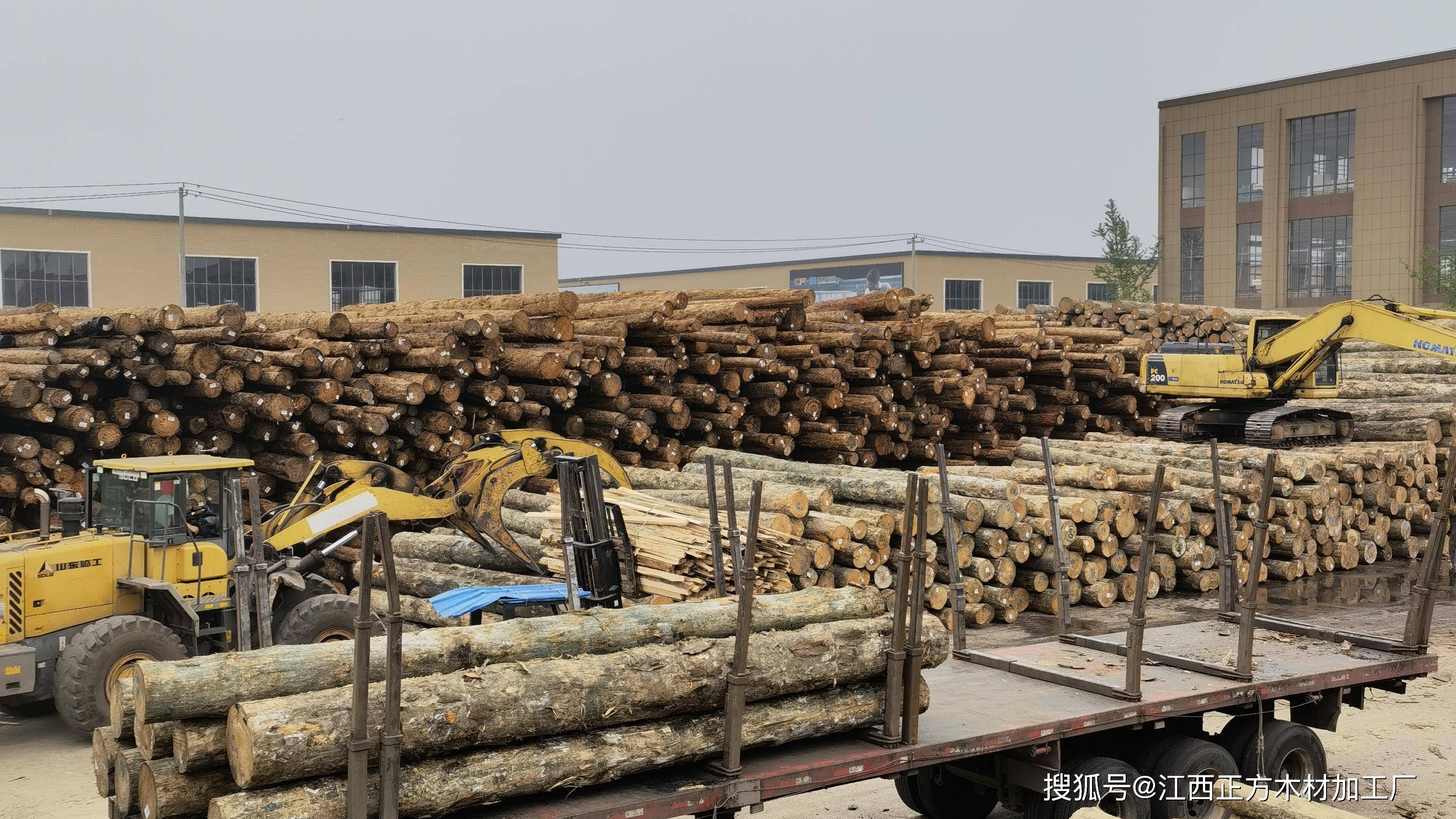 武汉建筑木模板的发展怎样?(全文附上分析)