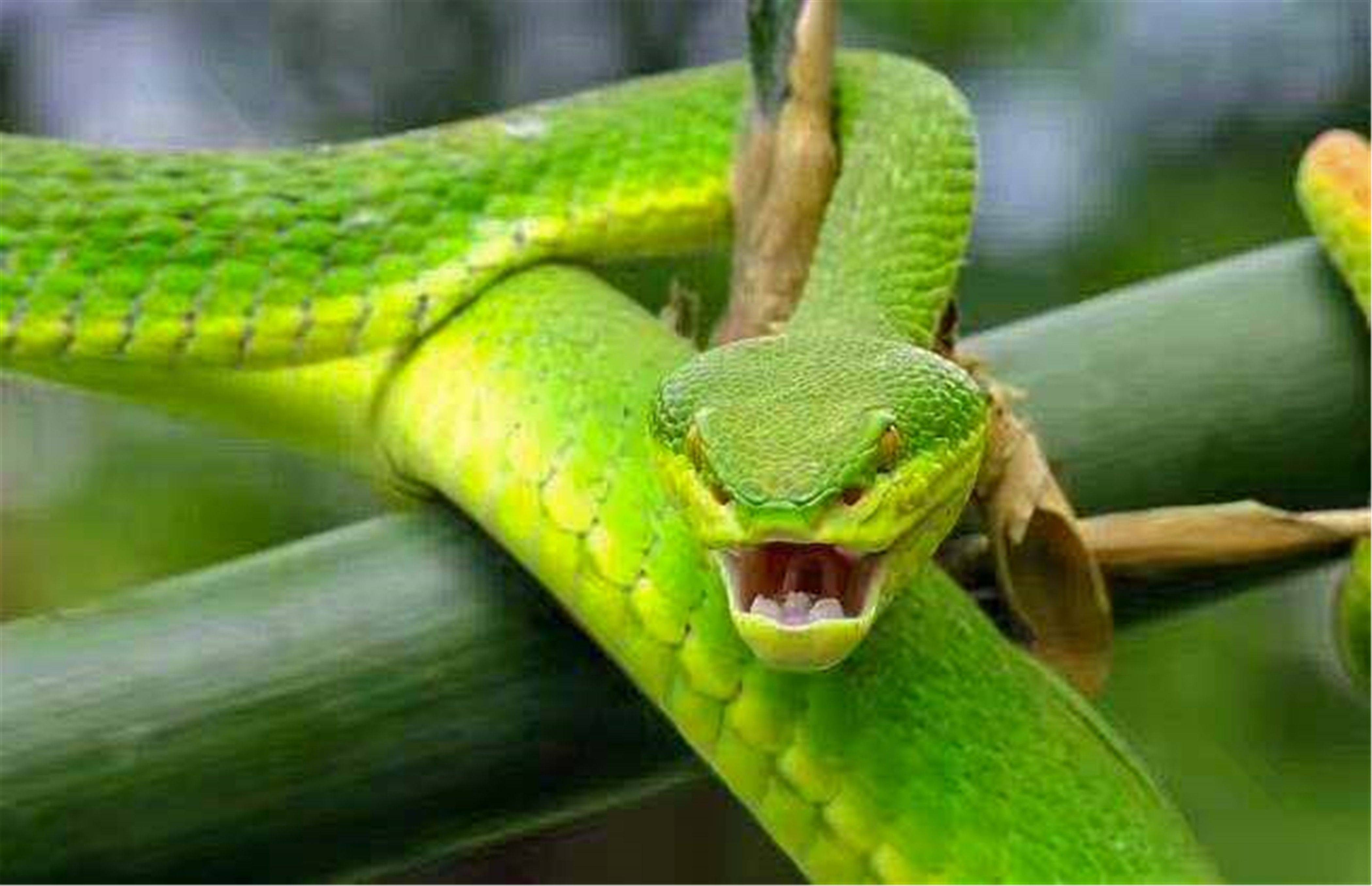 警惕现代婚姻为什么不幸福快马上把这七条毒蛇赶跑