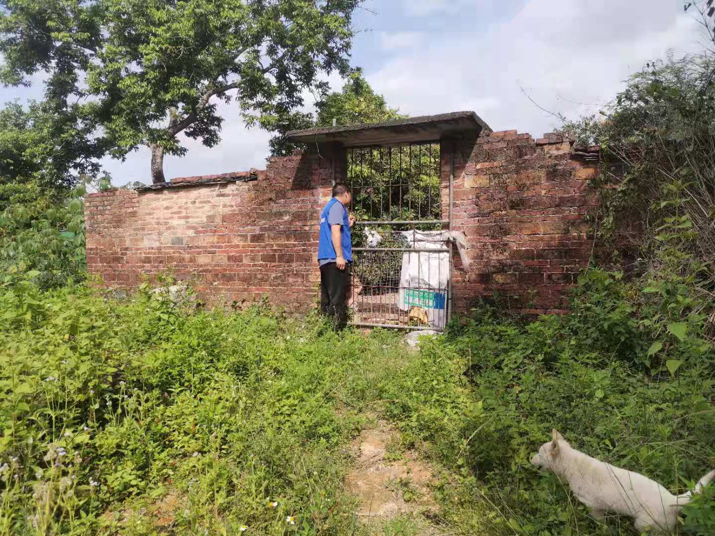 罗坑镇目力村开展"飓风扫毒"清查行动