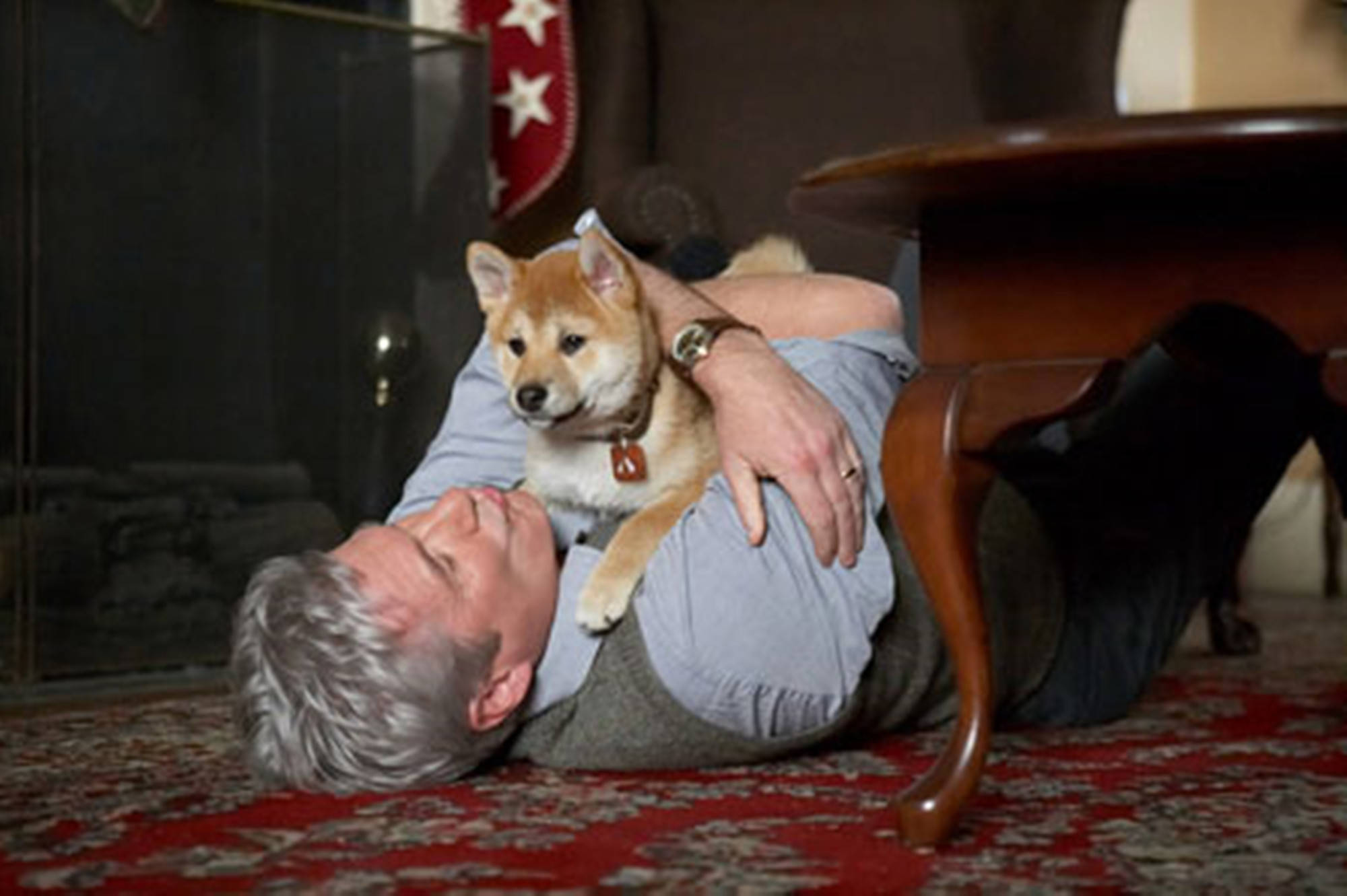 忠犬八公的故事,有什么比生命更悠远吗?是忠诚的爱!