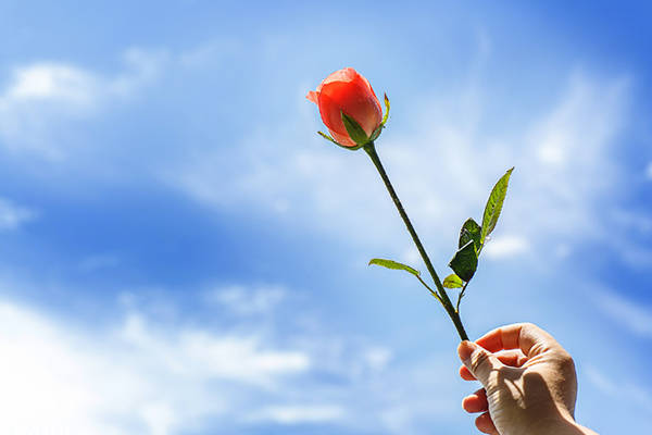 怎么才可以让自己快乐起来 eac9fdf07d78455a8dc18b8e51958696.jpeg