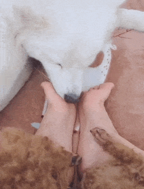 288_376竖版 竖屏gif 动态图 动图