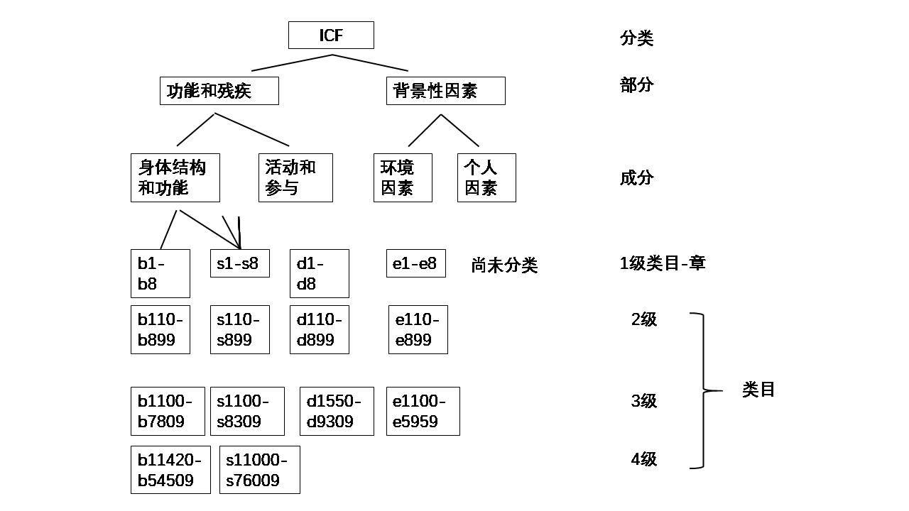 简述icf模式图图片