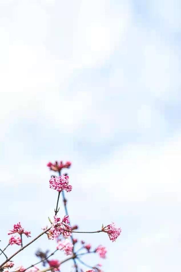 e7ef8eb095b44558b3c2af473ebb1acc.jpeg