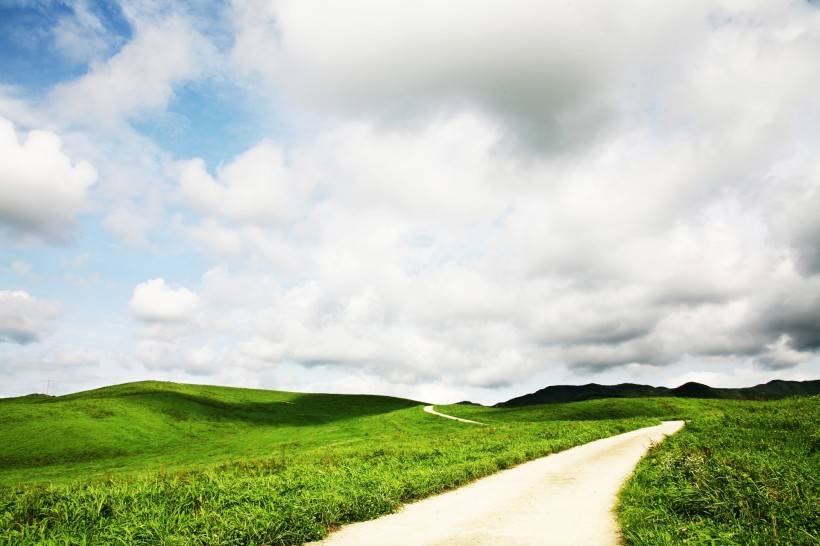 什么|下大雪了，就别遛柯基了吧……不然迟早被笑死！