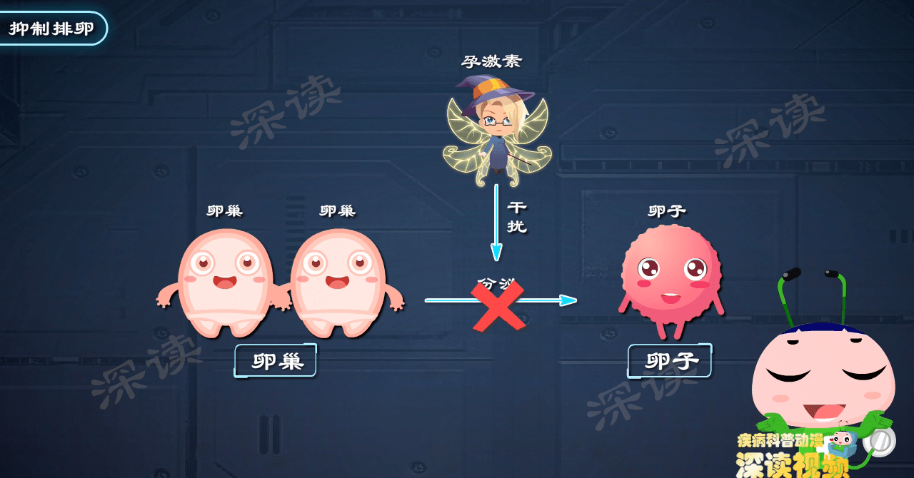 事后避孕成功率有多高?趣味解读紧急避孕药