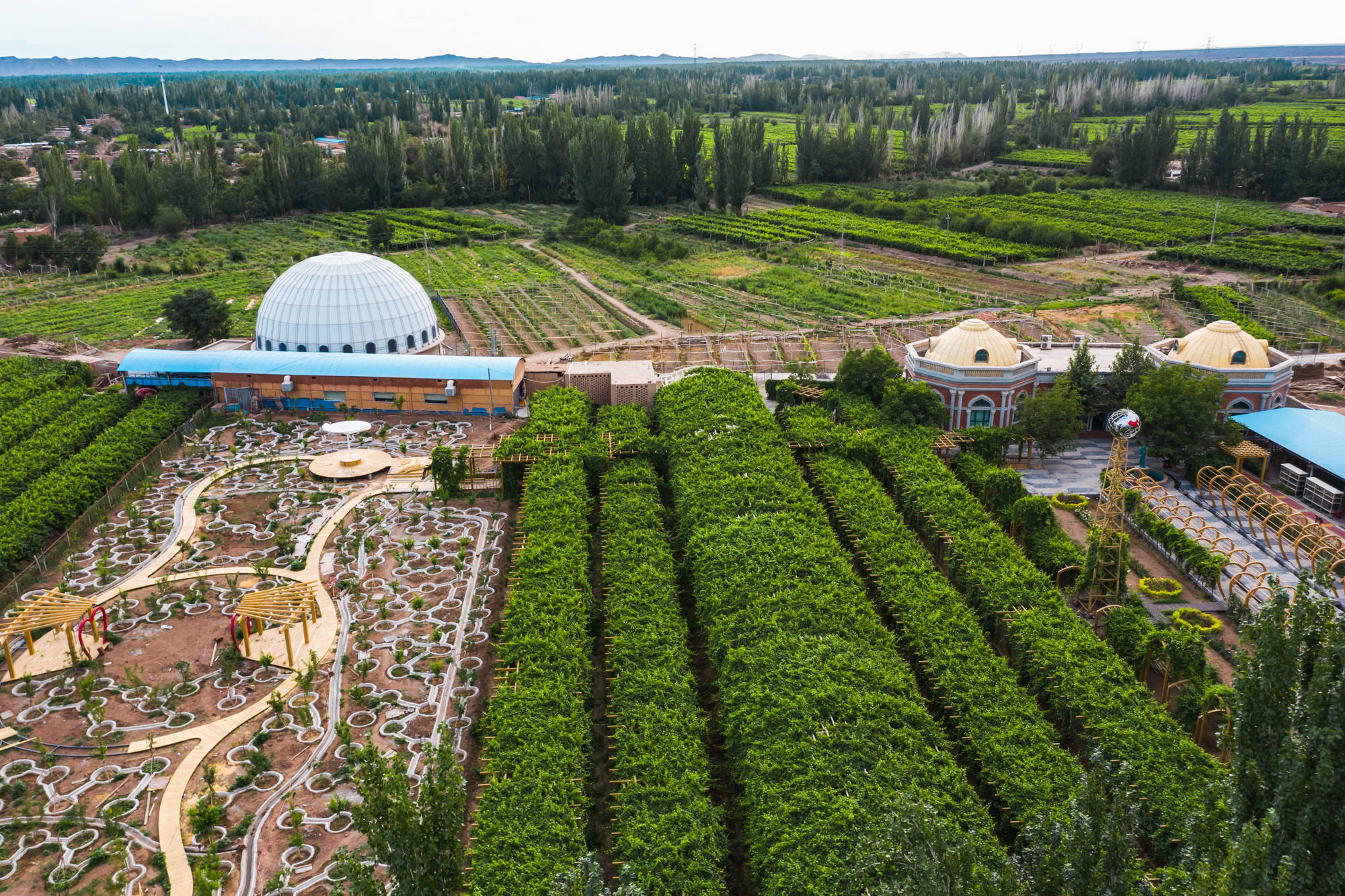 品味坎儿井地下引水智慧探秘荒漠绿洲