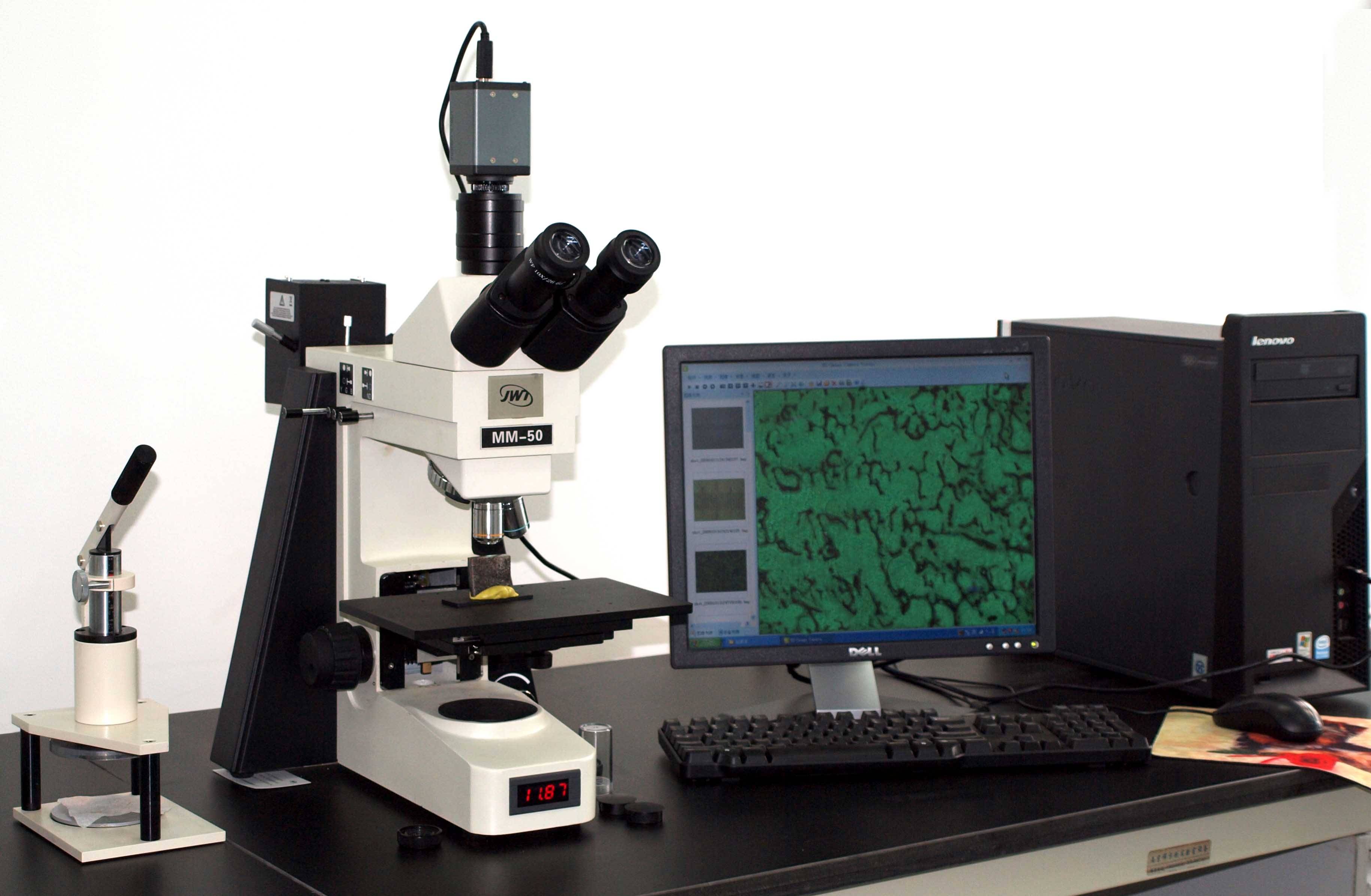 红花显微镜粉末鉴别图片