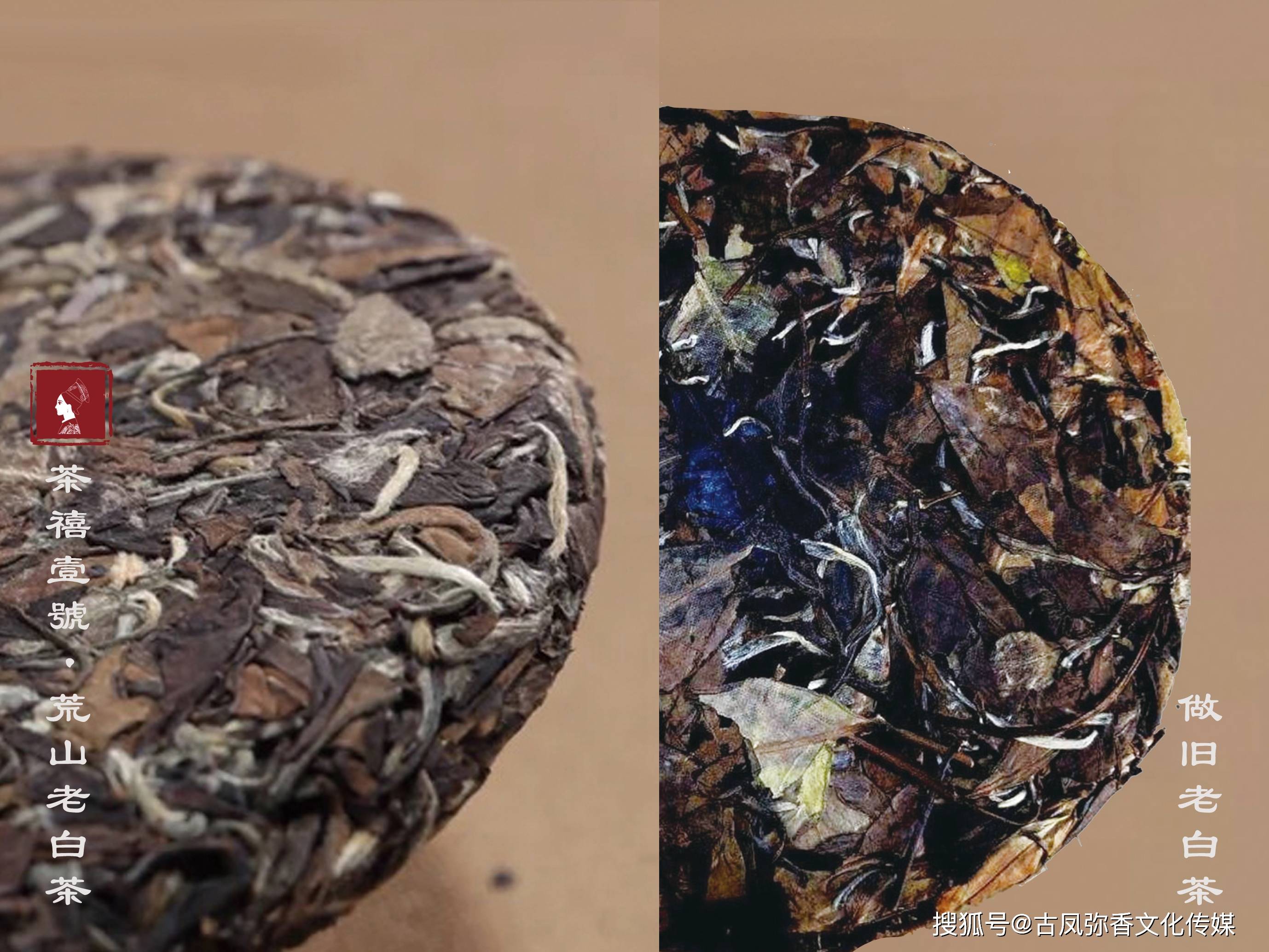 【茶禧壹号商学院】如何鉴别真假老白茶