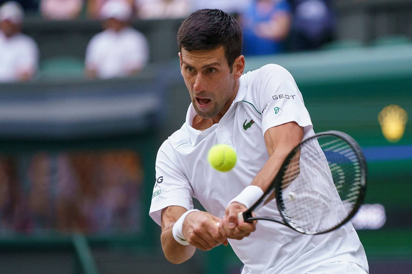 高清:温网小德3-0第30次进大满贯决赛 怒吼庆胜利