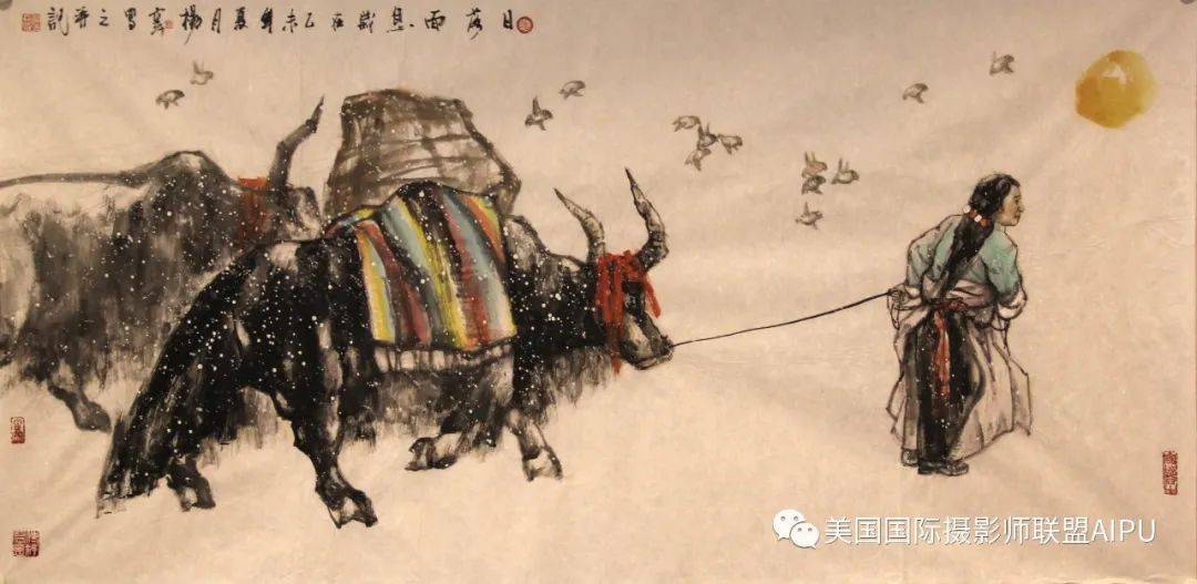 画家杨云藏地画谈放生灵