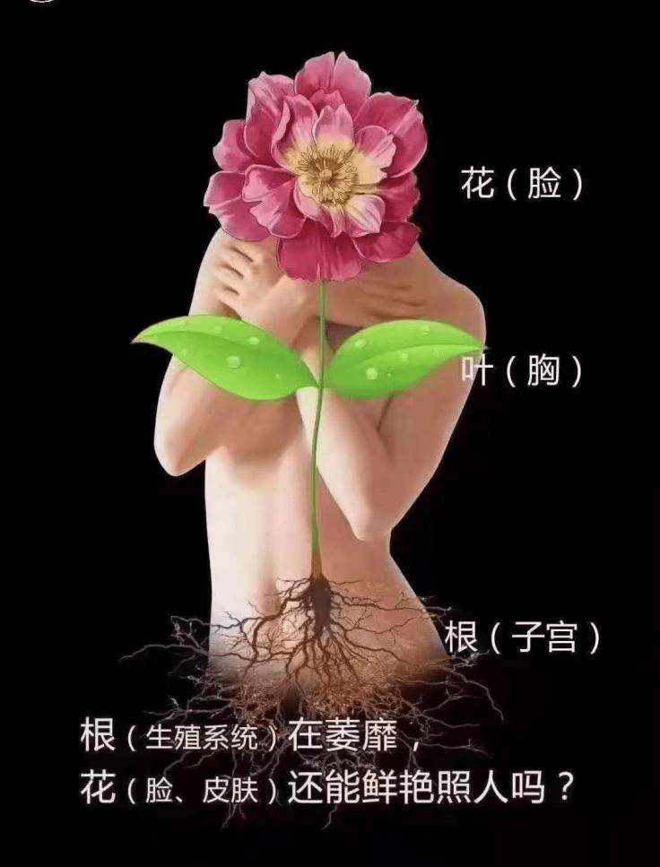 女士|关于菲诗媛私密冻干粉，你了解多少？