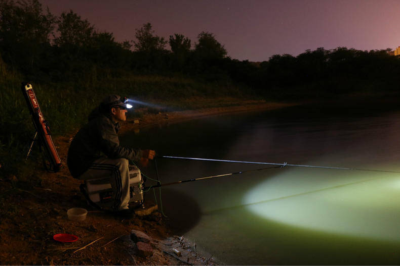 原创夏季夜钓不得不提的几件事,想玩夜钓的看一下