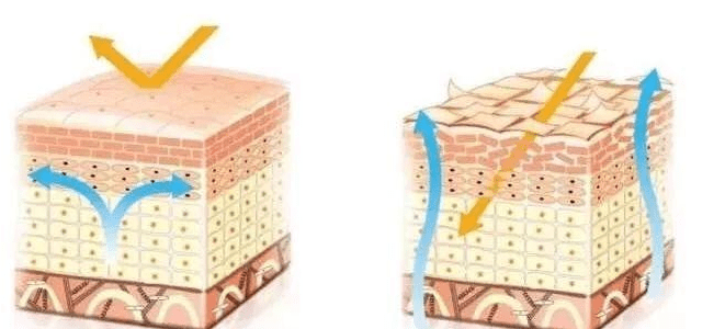 科技|皮肤与细胞活力的关系，这是最新的护理科技与理念——艺涵老师