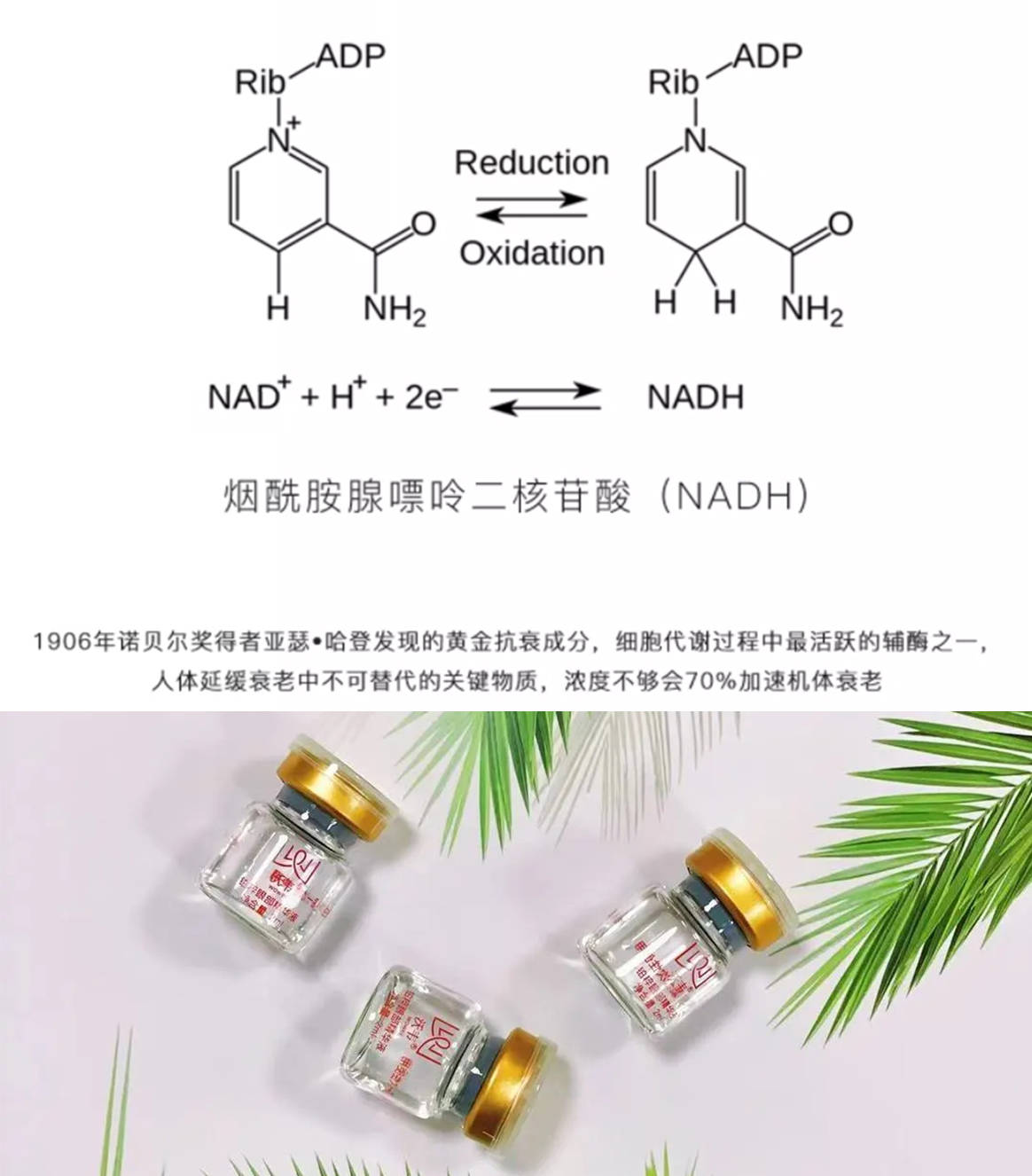 补充|为什么有的人天天熬夜却没有黑眼圈？原来是这4件事情做对了