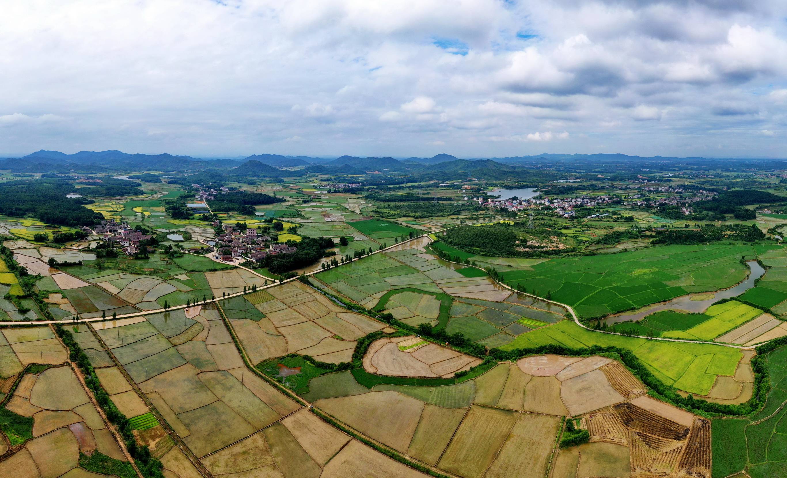 江西金溪:"小农水"滋润万顷粮田(组图)_农业