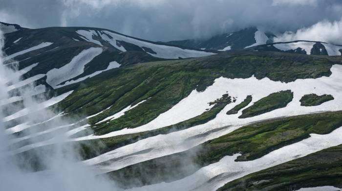单身女性成买房主力军现象，却在家电业引发多重反思！-家电圈官网