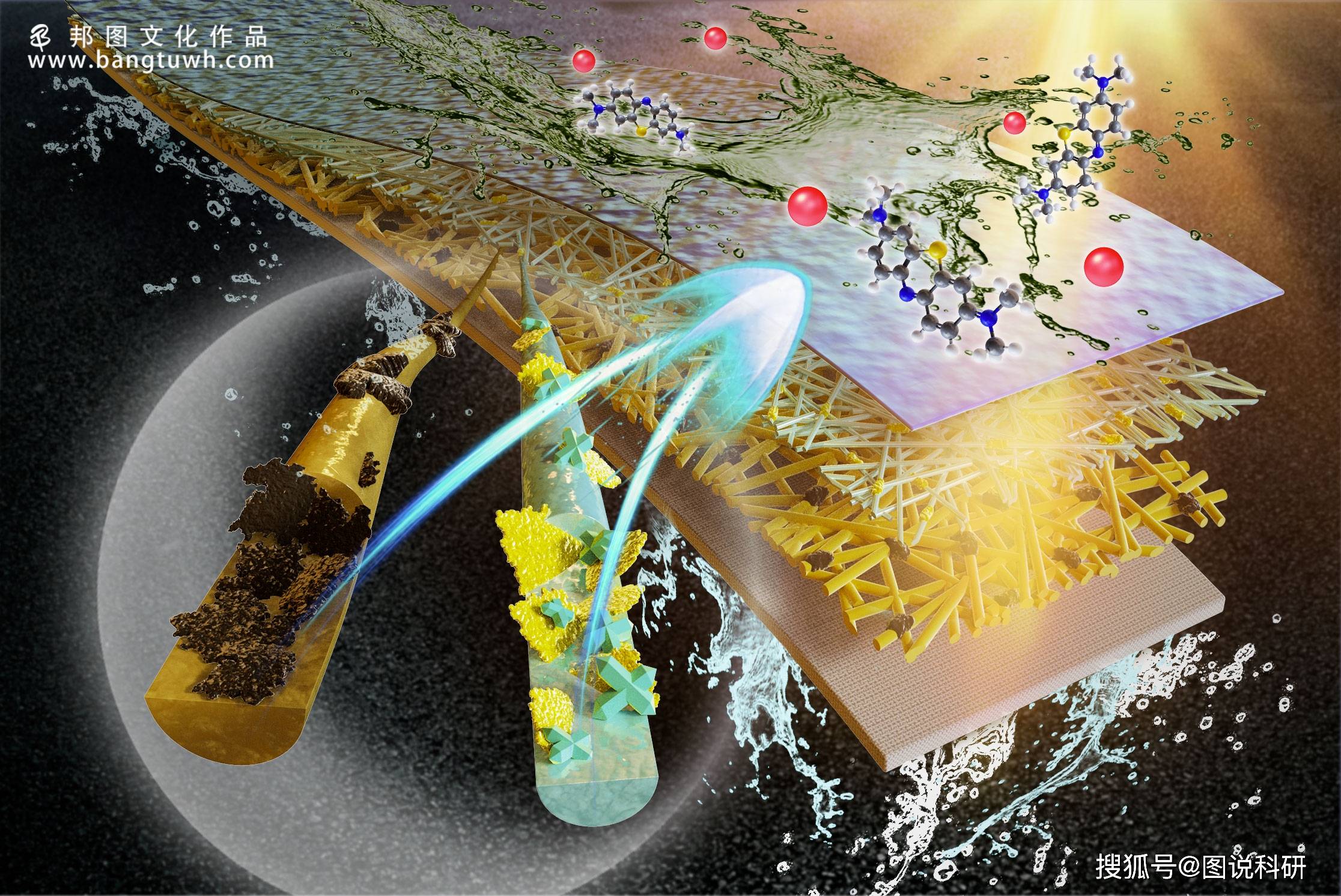 医学插画作品邦图科研绘图