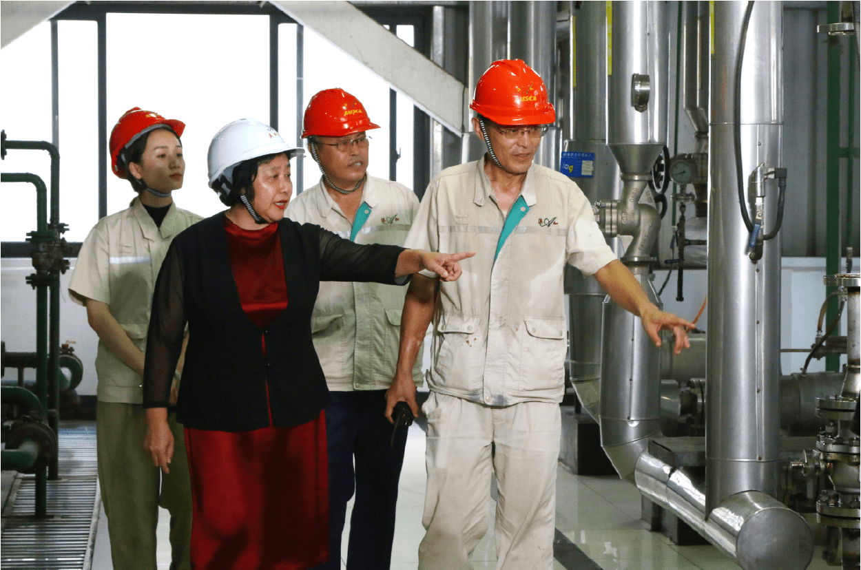 企业家专访澳斯卡粮油董事长张慧忘记性别忘记年龄争做中国好粮油