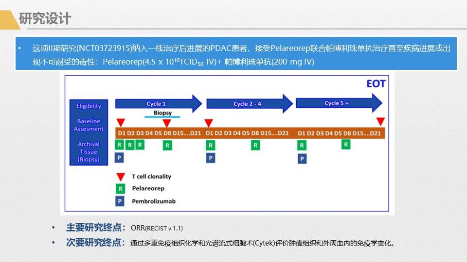 应用|胰腺癌综合治疗大讲堂-免疫治疗专讲主题活动回顾1