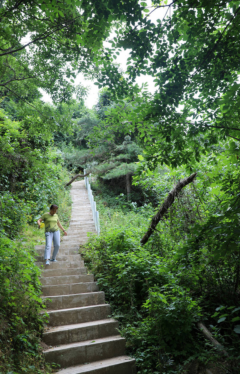 樓觀臺國家森林公園面積27487公頃,包含了東樓觀,西樓觀,田峪河和首陽