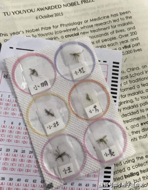 搞笑圖片：這情侶裝很大膽！！！ 搞笑整蠱 第2张