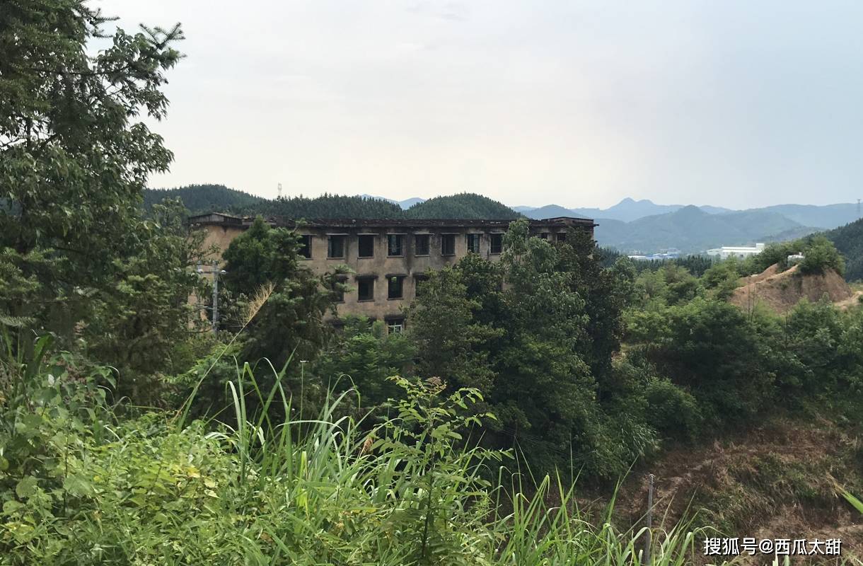 文章配图-31