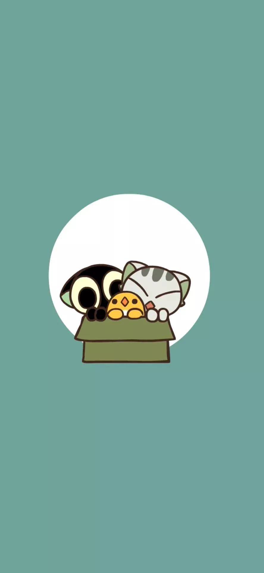罗小黑战记手机壁纸