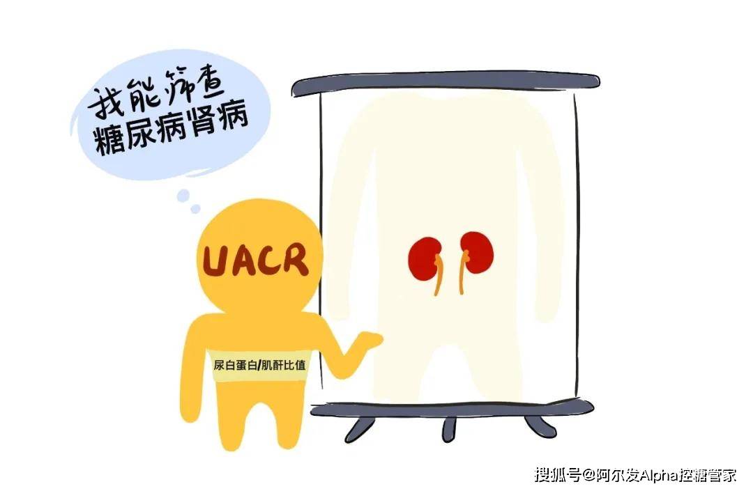 心脑血管|糖尿病预防并发症全攻略