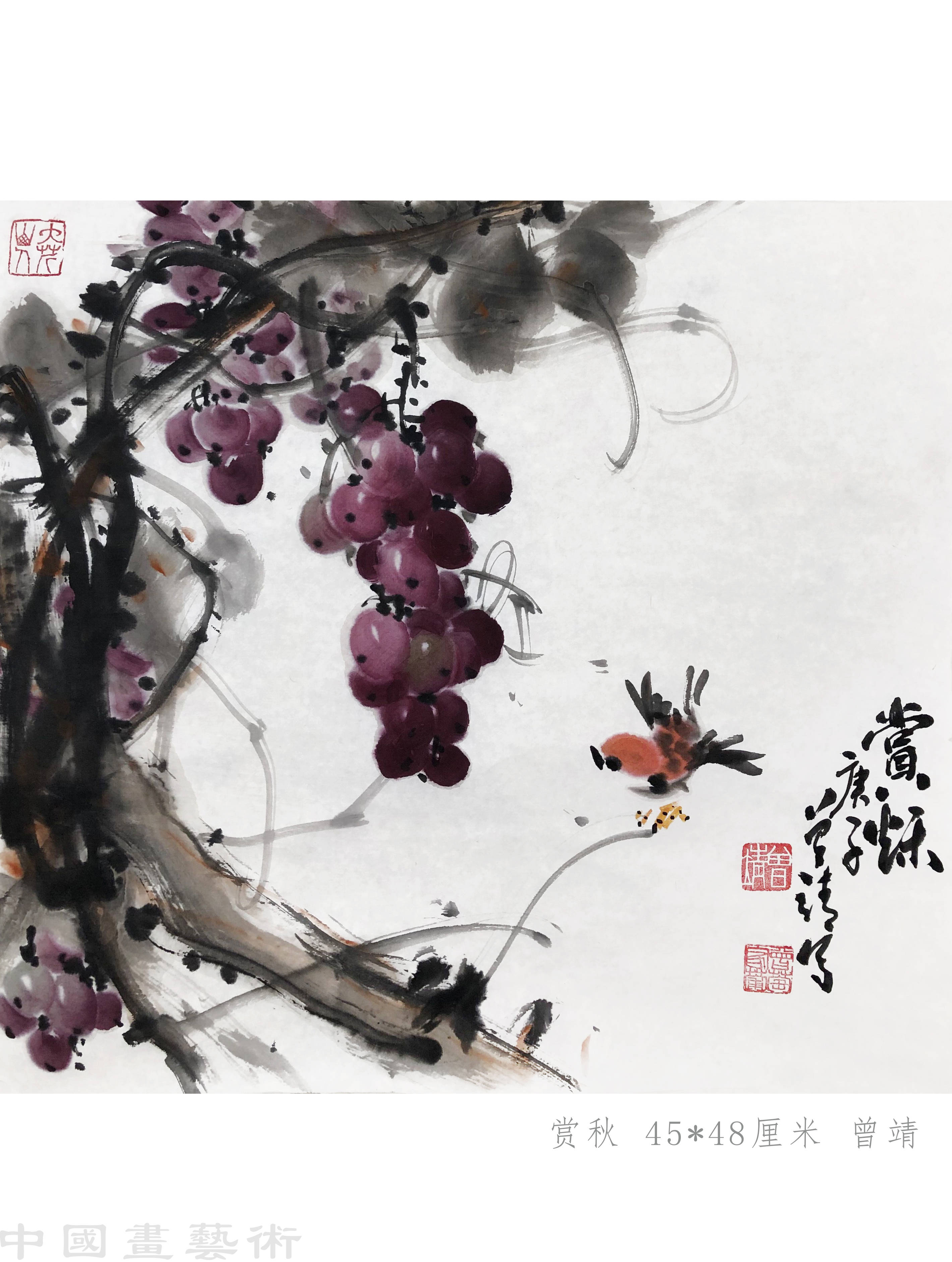 曾靖国画葡萄艺术大写意花鸟画教程讲解