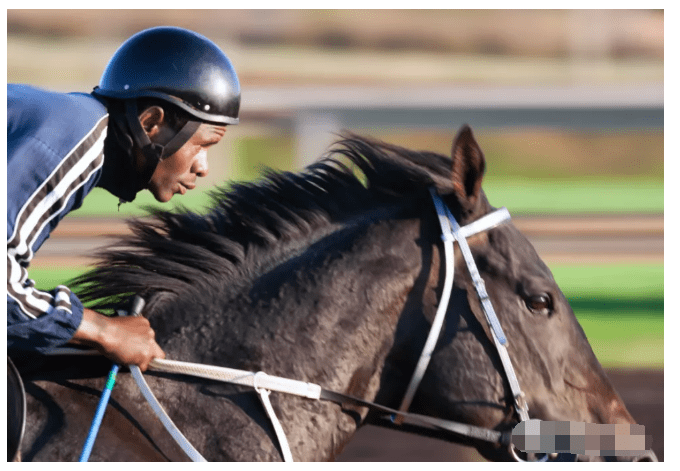 astm f1163认证--马术头盔测试标准办理
