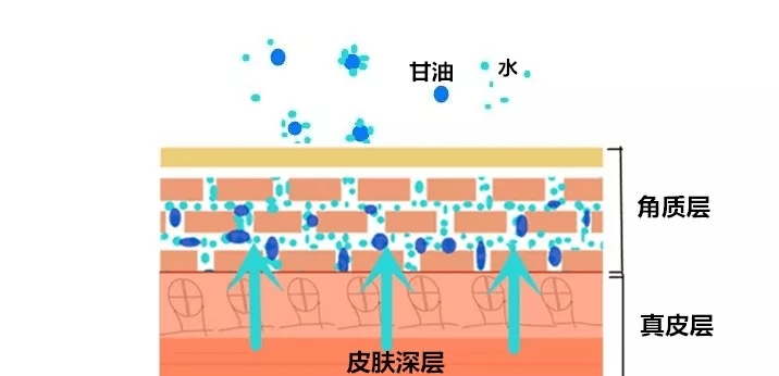 油脂|直男护肤之保湿攻略