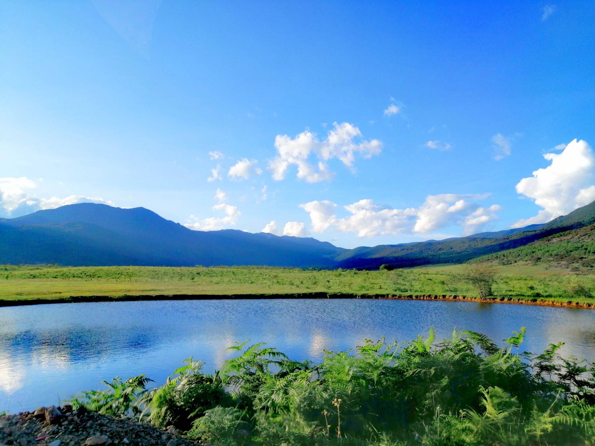 丽江雪山后花园九子海的绿野芳踪