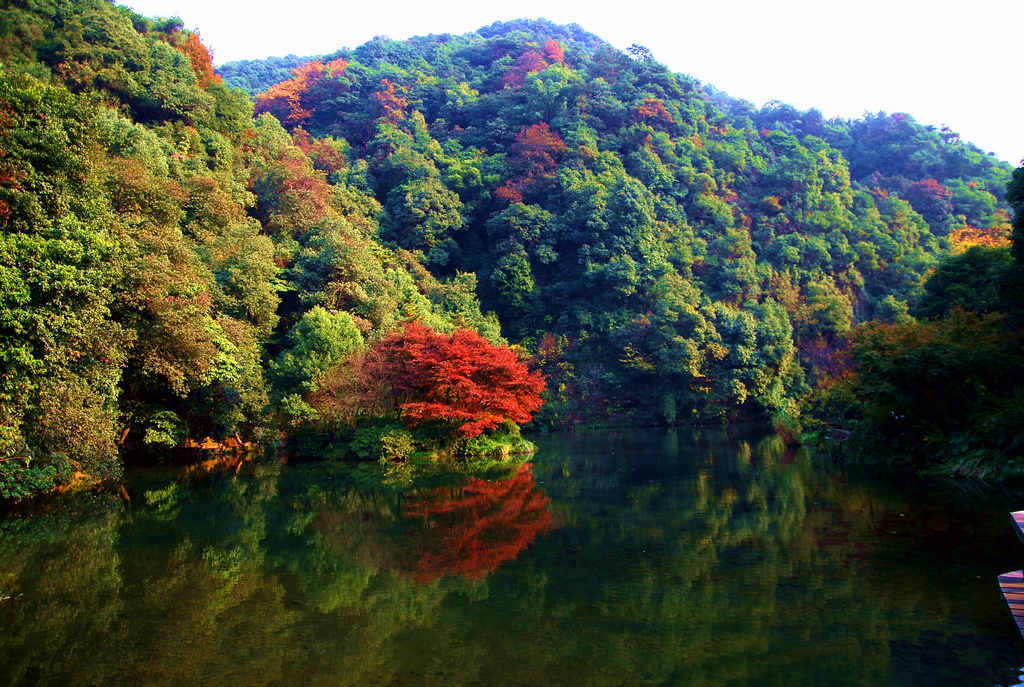 钱塘|九溪十八涧