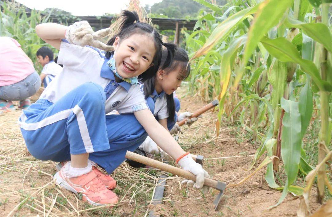 锄头|研学印记｜最美的课堂在路上——德琳学校