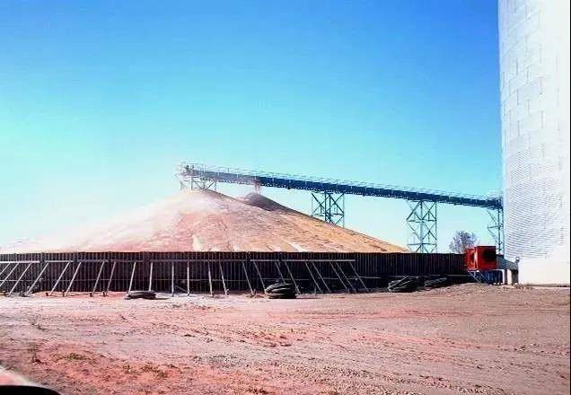 养殖业|霉菌毒素为什么是隐性杀手？看看它的这五大特点就知道