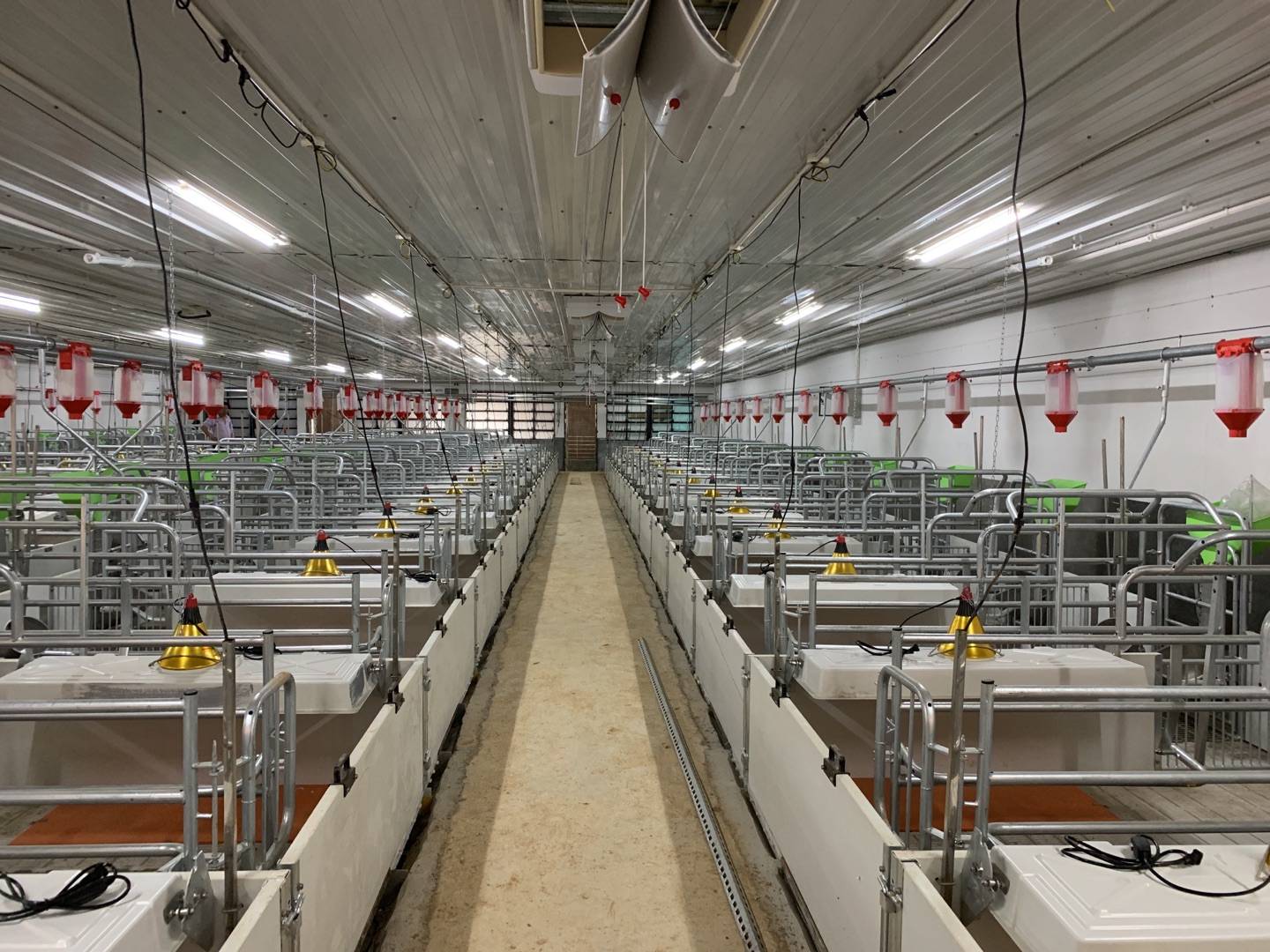 7㎡,包括1栋后备舍,1栋配怀舍,1栋后备大栏,1栋分娩舍,1栋应急保育舍.