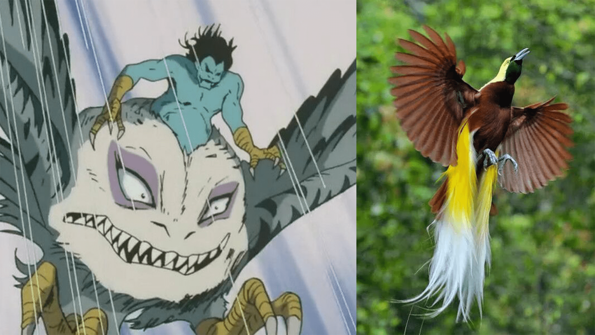 原创畅聊犬夜叉第106期极乐鸟妖狼宿敌长得丑惨遭灭族