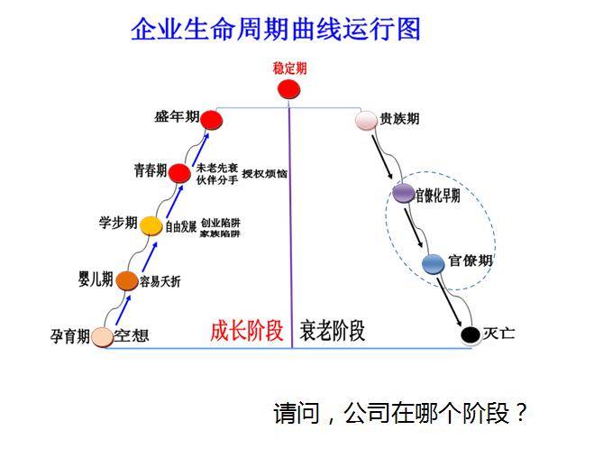 中国企业的生命周期