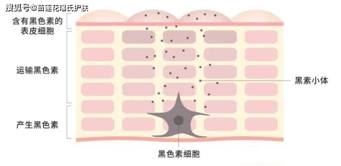 经验教程|怎样祛斑最快最有效？哪个祛斑产品效果好