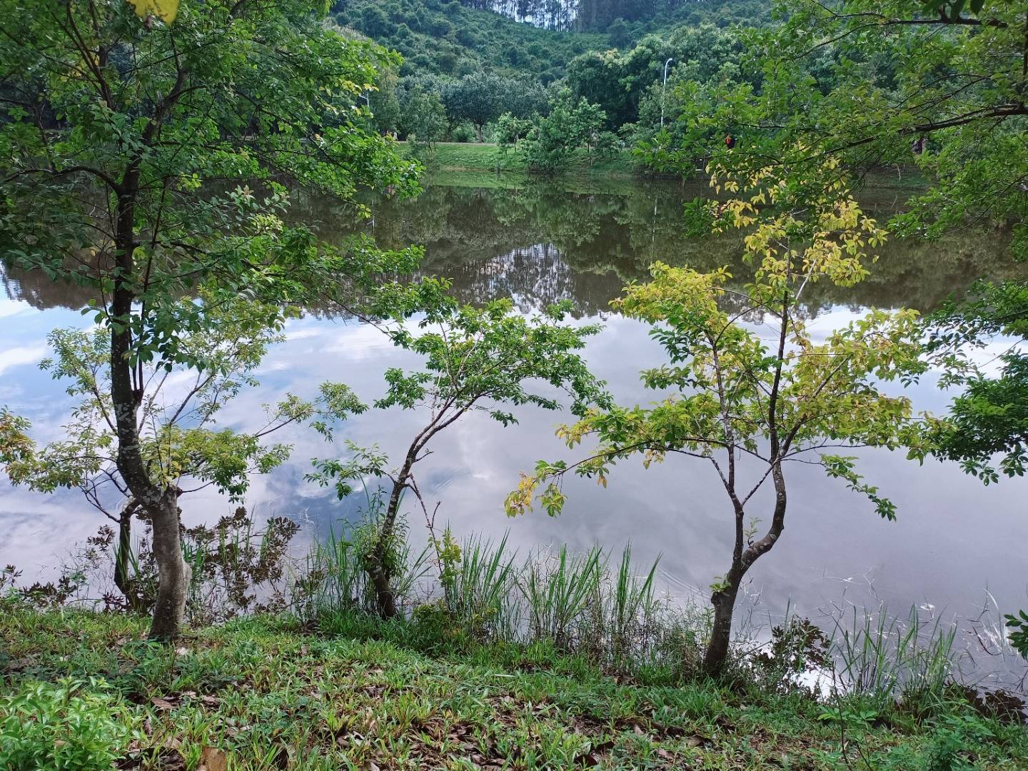 雨后的绿道,是不一样的风景。-搜狐大视野-搜狐新闻