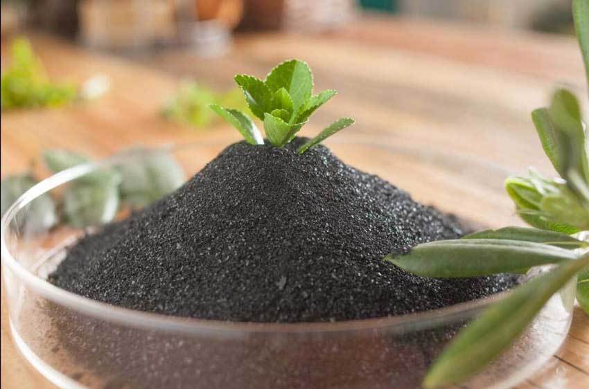 黄腐植酸是腐植酸的一种吗黄腐酸钾测定时腐植酸含量是否包含黄腐酸